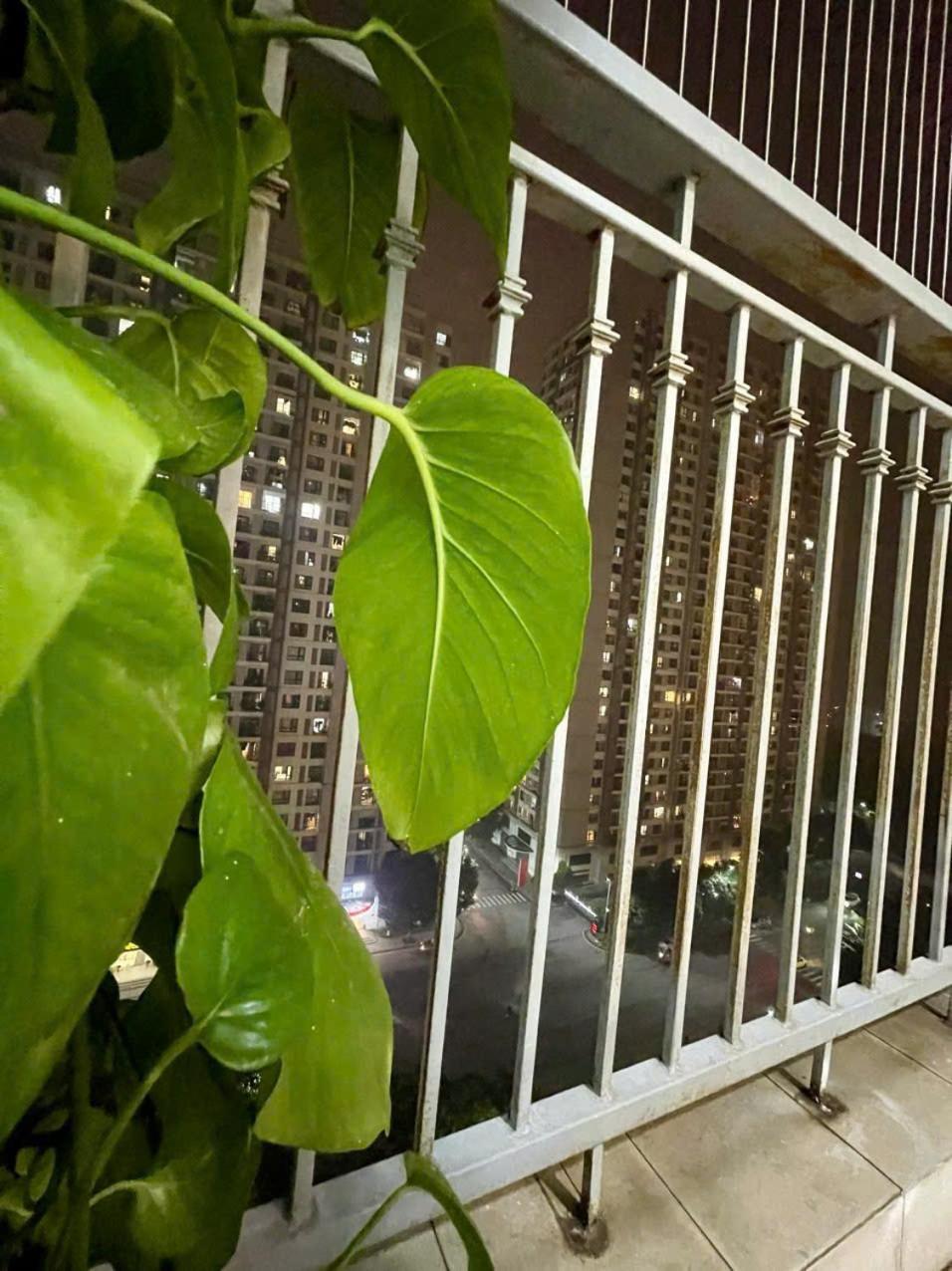 Til-vinhomes Park Hills & Times Elegance Hà Nội